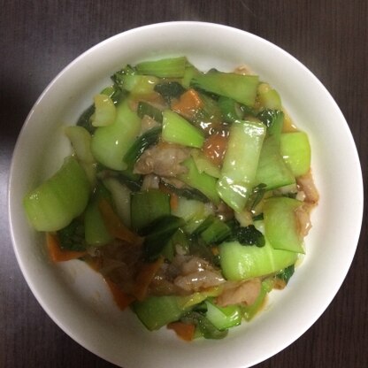 ちょうど青梗菜があったので作ってみました♡味付けもめんつゆだけで簡単でした！
もやしがなかったのですが美味しかったです！